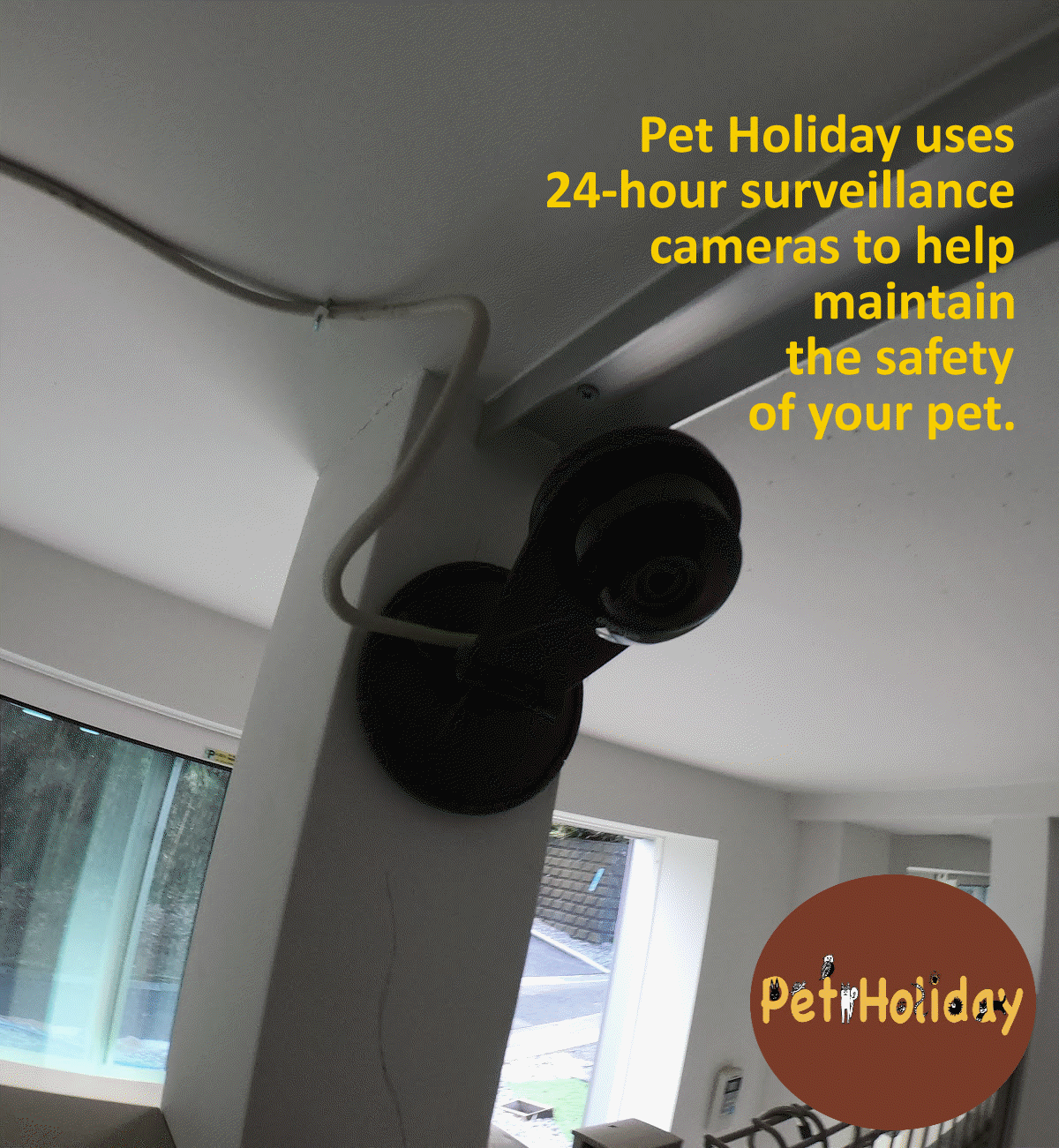Our surveillance cameras provide a convenient way to keep our guest safe and monitor  their activities while in our care. Each dog run area, pet boarding room and facility area has surveillance cameras that record daily activities.  